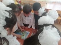 photogallery